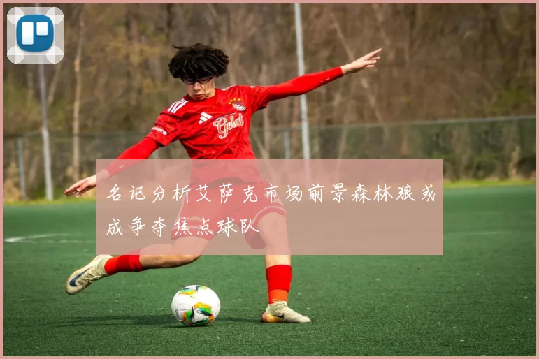 名记分析艾萨克市场前景森林狼或成争夺焦点球队